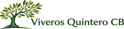 Viveros Quintero C.B.